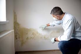 Mold Remediation for Rental Properties in Colmar Manor, MD